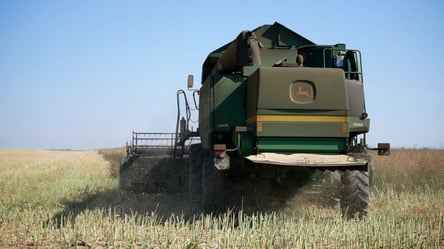 Цены на подсолнечник удивят — сколько стоят зерновые в январе - 285x160