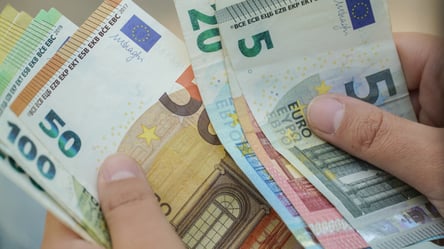 Большинство беженцев в Польше потратили деньги, заработанные в Украине — исследование - 285x160