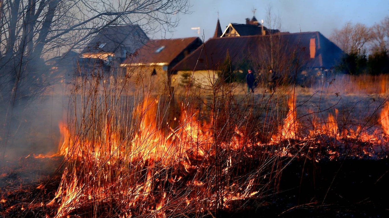 За 2023 год в Одесской области произошло 3500 пожаров сухой травы: в чем причина возгораний