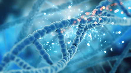 Лекарство против старения: ученые научились восстанавливать поврежденные ДНК - 285x160