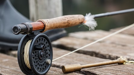 В Одесской области станет больше мест для законной рыбалки - 285x160