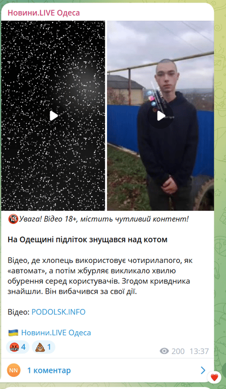 Кричало и вырывалось — в Одесской области парень издевался над котенком - фото 1