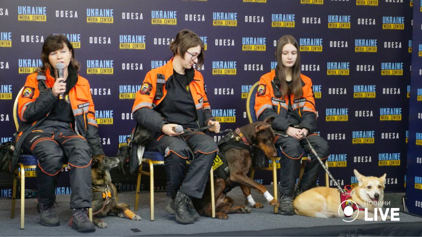 В Одессу приехали четырехлапые герои: собаки больше суток искали людей под завалами в Днепре