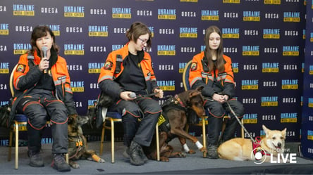 В Одесу приїхали чотирилапі герої: собаки понад добу шукали людей під завалами у Дніпрі - 285x160