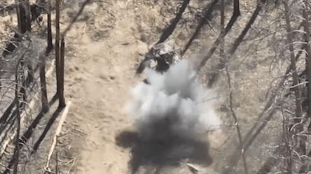 В "Азові" показали відео нещадного знищення російської техніки за допомогою FPV-дронів - 285x160