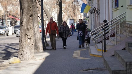 Виплати ВПО отримують лише 1 млн з понад 4 млн осіб: чому так сталося - 285x160