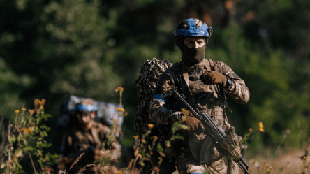 Операція Вівальді: ЗСУ звільнили понад 85 км² на Донеччині - 290x166