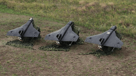 З дешевої фанери — під час нічної атаки на Україну росіяни використовували дрони нового типу - 290x166