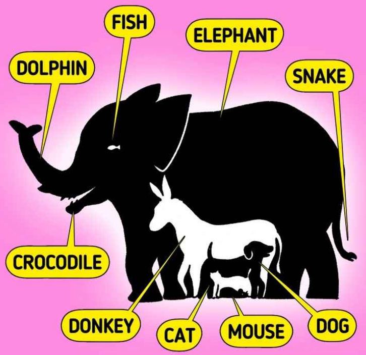 Найденные животные в оптической иллюзии