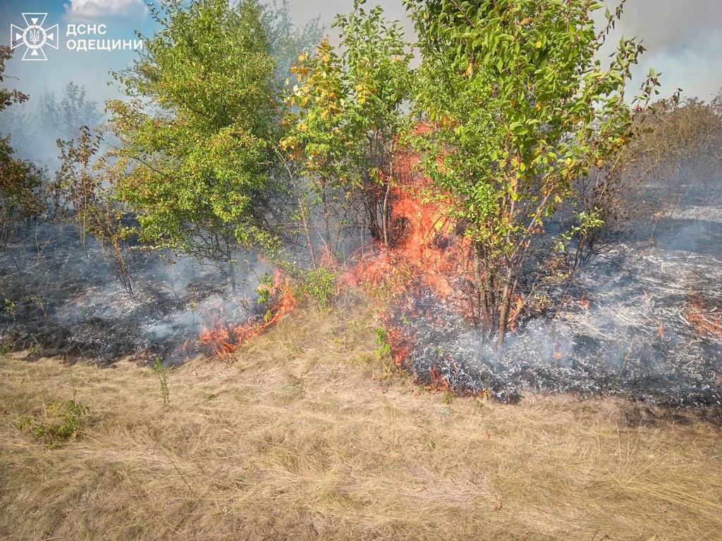 Одещина у вогні — пожежі знищили сотні гектарів землі - фото 1