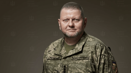 Зеленский уволил Залужного с военной службы - 290x160