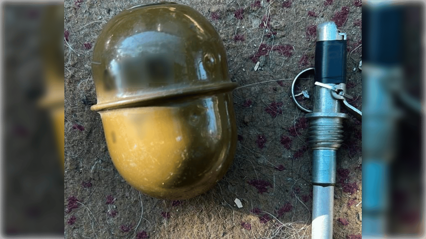 Может сесть на 7 лет за хранение гранаты — на Одесчине задержали любителя оружия