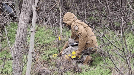 Российский дрон со взрывчаткой упал в Молдове — детали инцидента - 285x160