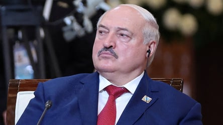 СМИ опровергли слова Лукашенко о пересечении границы Беларуси украинскими дронами - 285x160