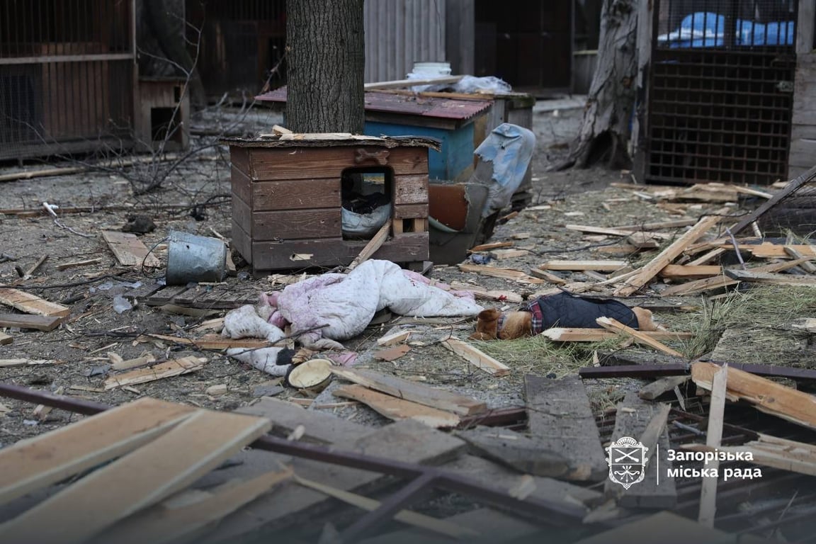 Росія атакувала притулок для собак в Запоріжжі