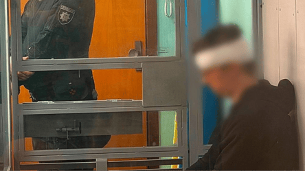 Вбивство лікарки у Києві: підозрюваного взяли під варту без застави - 304x171