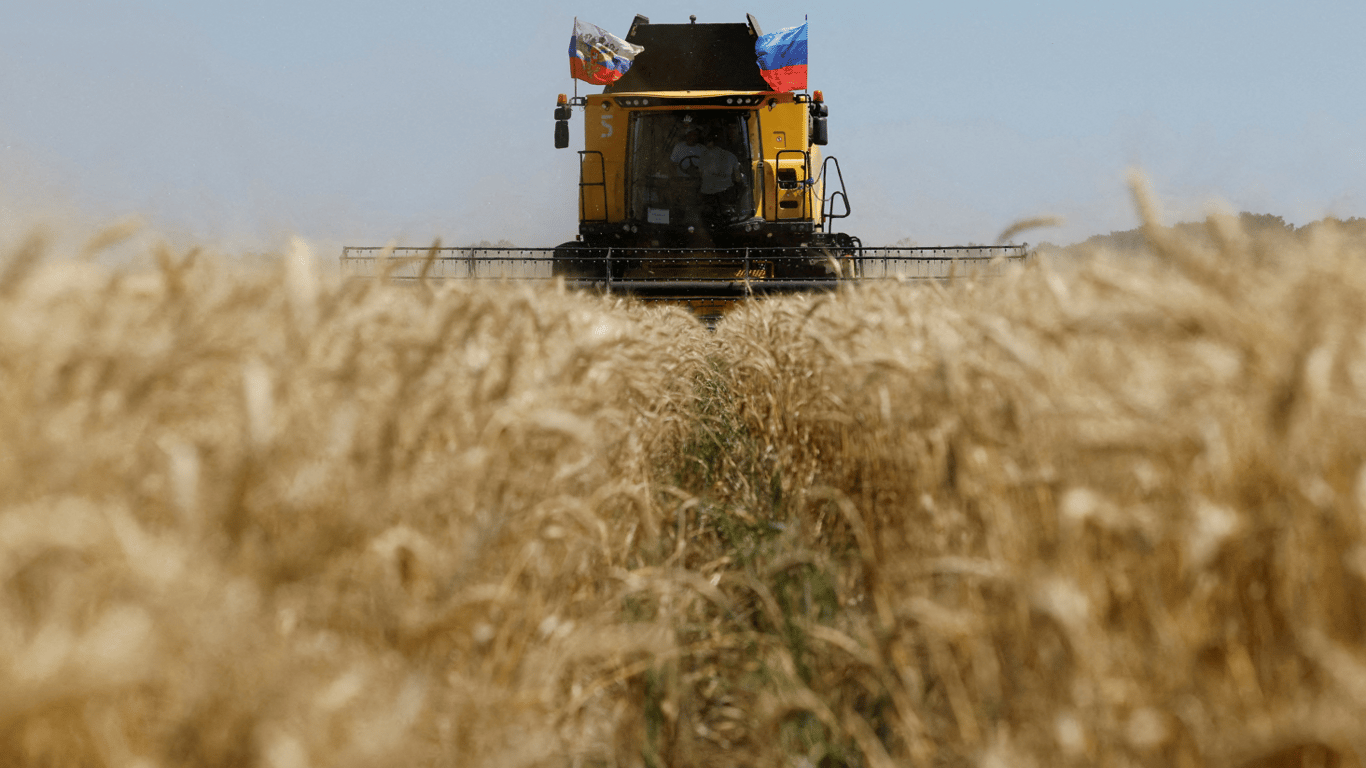 Израиль отказался разгружать судно с ворованным зерном: реакция МИД