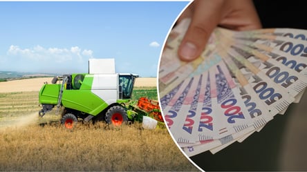 Дожди замедлили жнива: что происходит с ценами на ячмень в Украине - 285x160