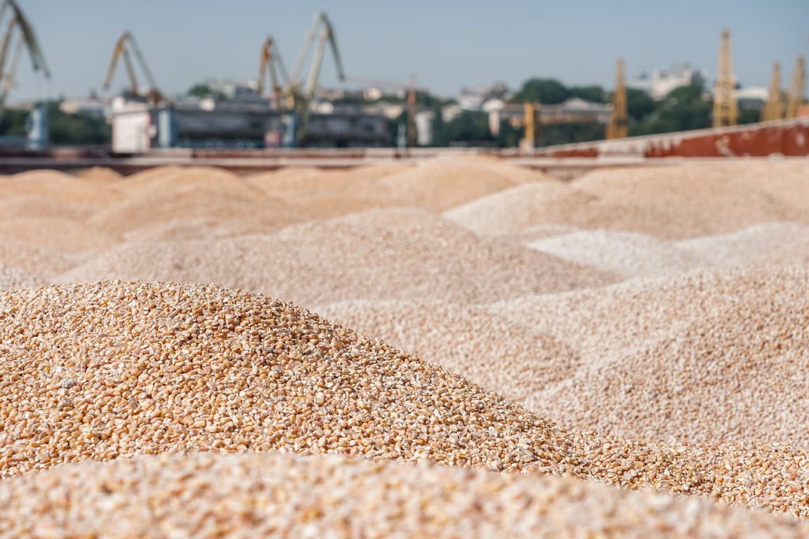 Стало відомо, скільки вже збіжжя перевезли морським коридором - фото 2