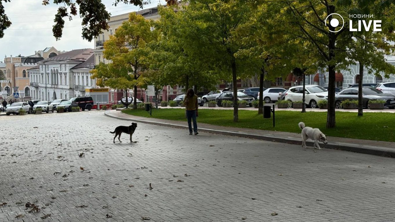 Фоторепортаж осінніх вулиць Одеси