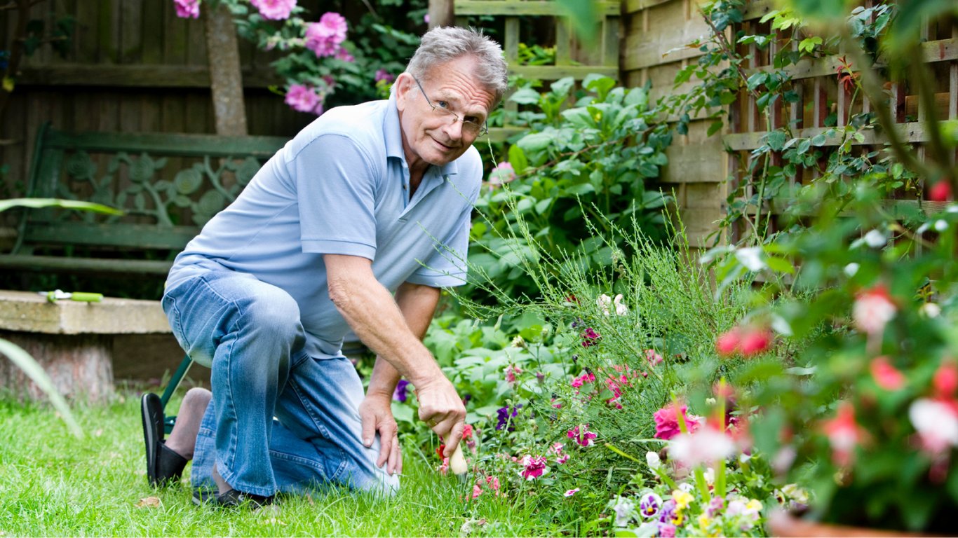 Какие популярные садовые растения разрушают ваш дом — садоводы предупредили
