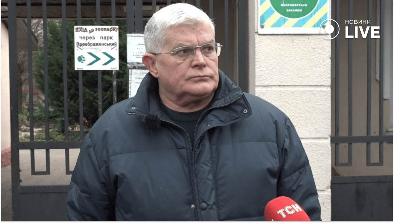 Порятунок птахів після розливу олії в Одесі