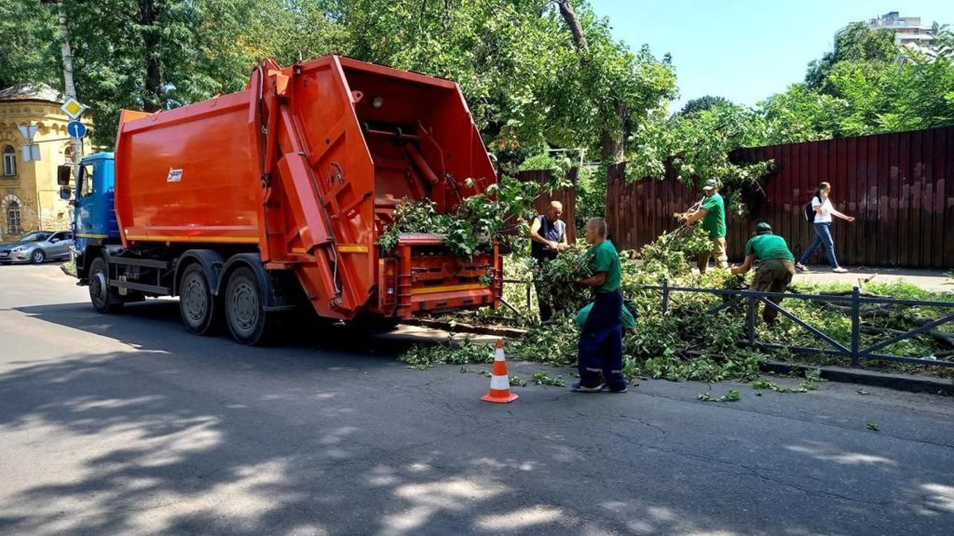 Деревопад в Одессе: ветер повалил несколько десятков веток