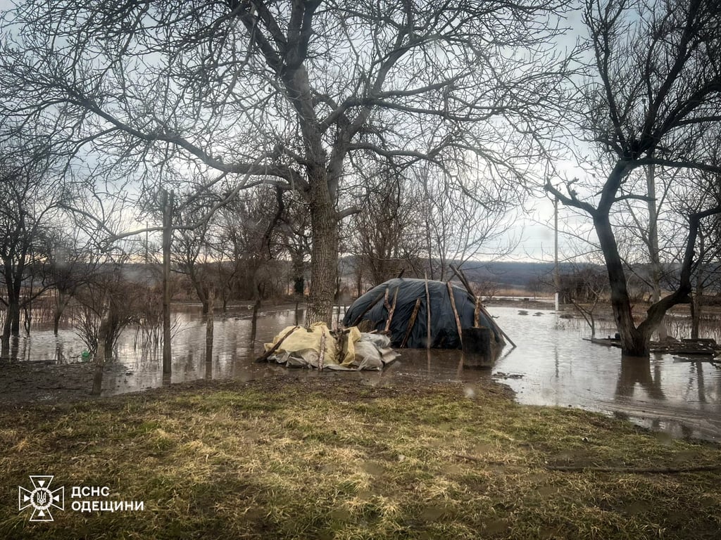 Затоплене поле