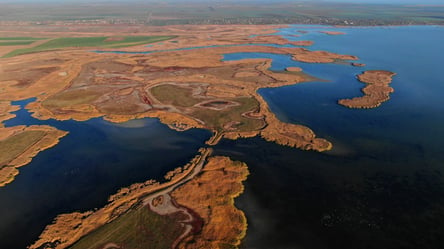 Екологічні проблеми: стан дельти Дунаю на Одещині погіршився через обстріли - 285x160