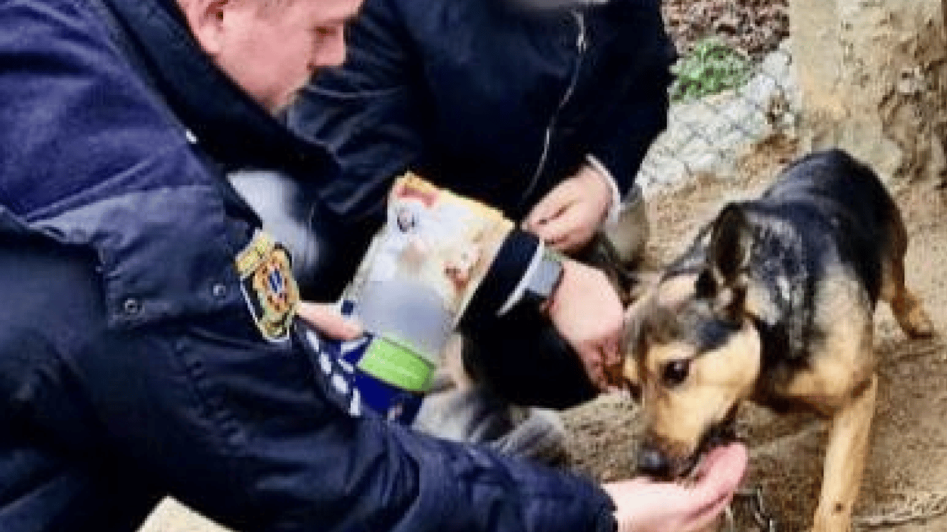 Неповнолітню з Одеської області, яка знущалася з собаки, покарають