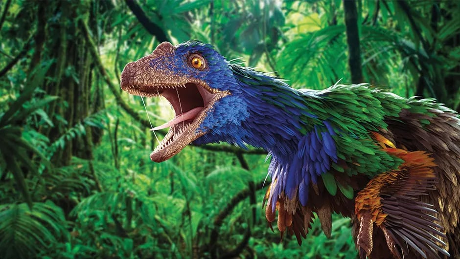 Вчені дізналися якого кольору були динозаври