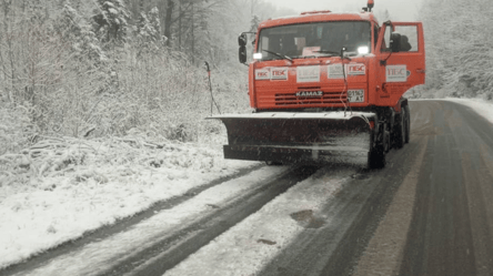 Украину накрыло первым снегом — кадры заснеженных городов - 285x160