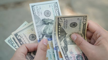 Помощь Германии: кто из украинцев получит 1 300 долларов весной - 285x160