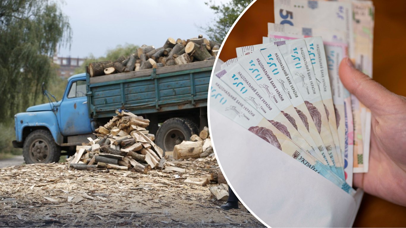 Шалений попит на дрова в Україні: чи можливий дефіцит палива через раптовий ажіотаж