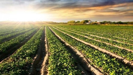 Громадян РФ володів землею в Україні — що вирішив суд - 285x160