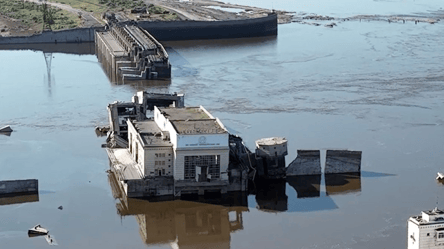 Последствия разрушения Каховской дамбы — в Черном море погибла треть мидий - 290x166