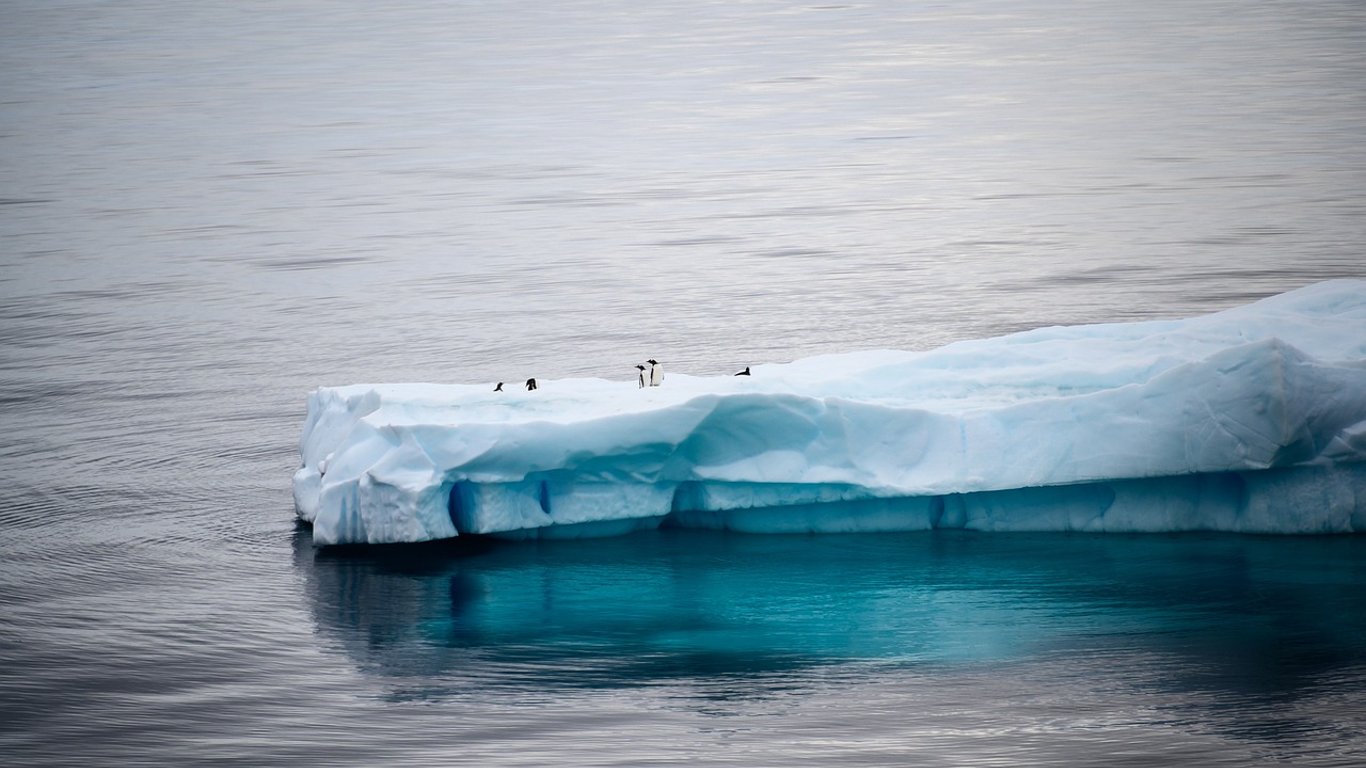Антарктиді не вистачає морського льоду: вчені попередили про небезпеку