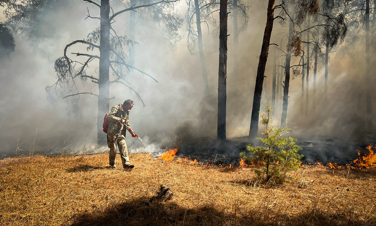 Пожар в лесах Николаевской области