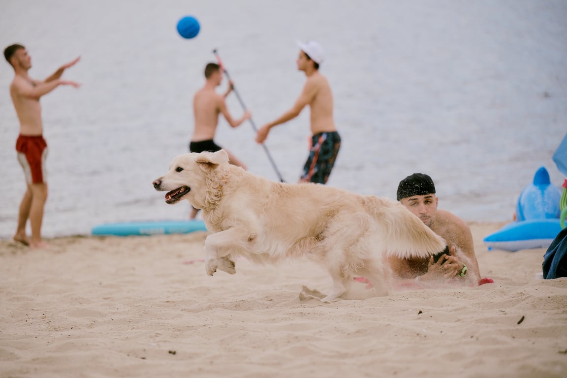 Леся Нікітюк дебютувала у кіно