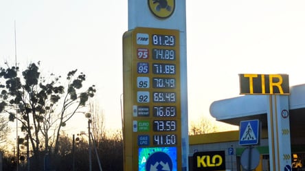 У Центрі Разумкова пояснили вигоду влади від дорогого пального - 290x166