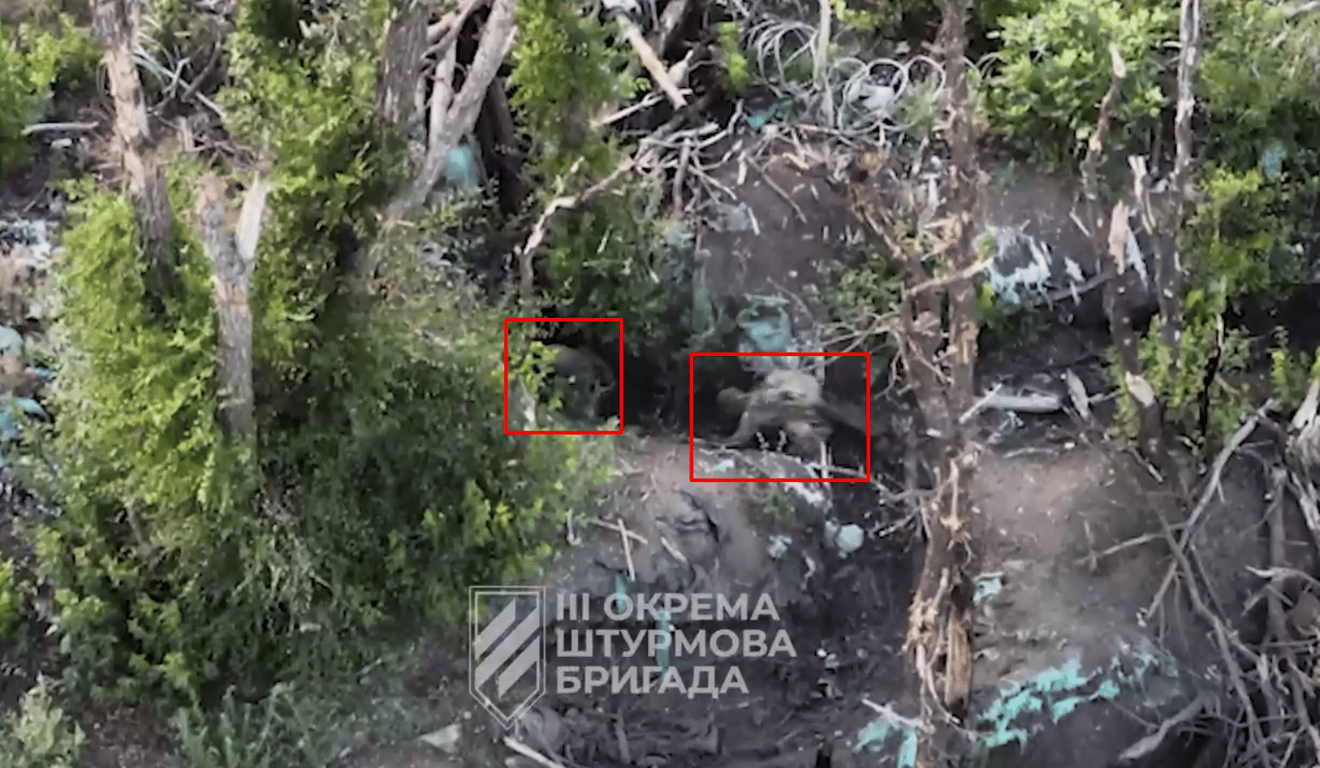 оккупанты в посадке