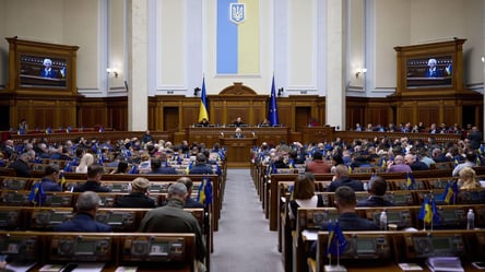 Множественное гражданство для украинцев — в ВР прокомментировали, как это будет работать - 285x160