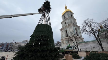У Києві почали встановлювати головну ялинку країни — фоторепортаж - 285x160
