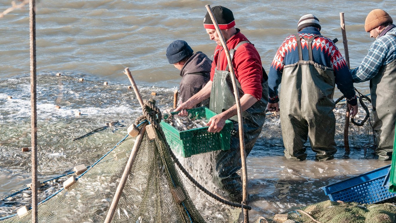 Реформа рыбной отрасли