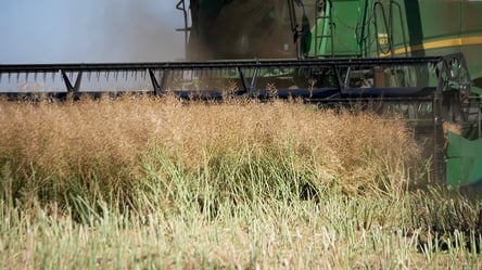 В Україні дорожчає ячмінь — ціни на зернові у листопаді - 285x160