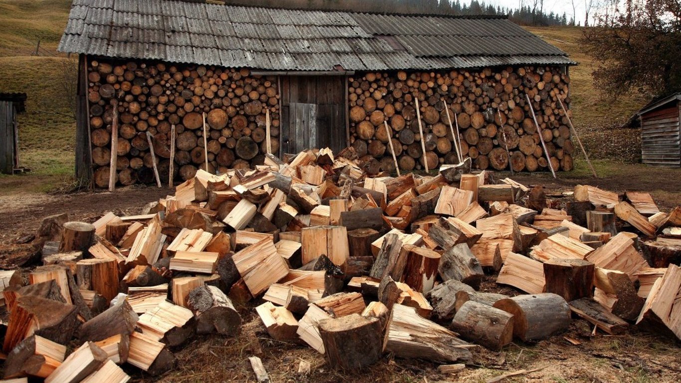 Сколько стоят дрова в Украине 2023