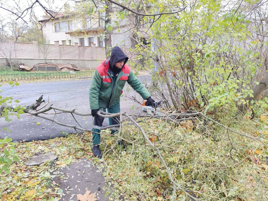 Буревій в Одесі — повалені десятки дерев та гілля - фото 3