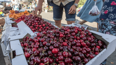 Цены на черешню в Украине — сколько стоит ягода в мае - 285x160