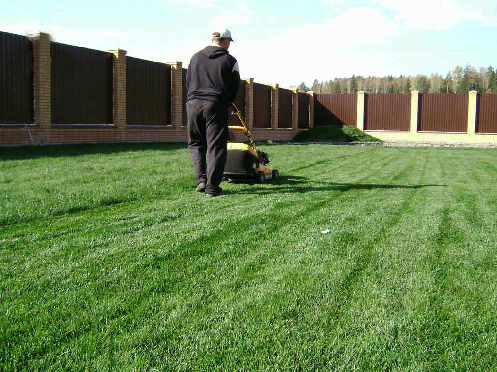 Хозяин, выравнивающий газон на своем участке