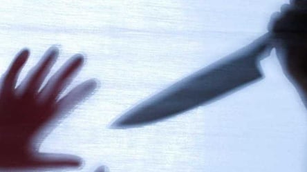 17 ударів ножем: подробиці жорстокого вбивства на Одещині - 285x160